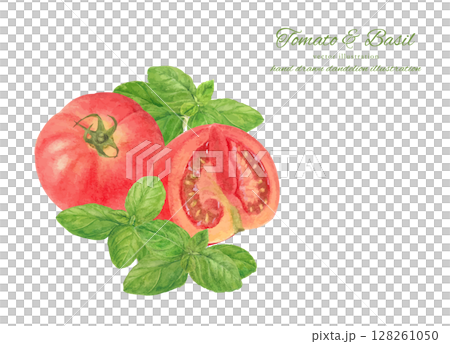 水彩手書きのフレッシュなトマトとスイートバジルのカットイラスト素材 水彩手書きのフレッシュなトマトとスイートバジルのカットイラスト素材 128261050