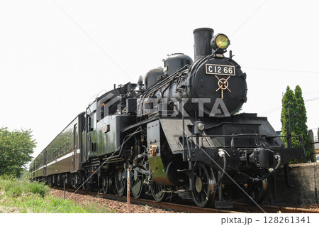 真岡鐵道SLもおかのc12-66と50系客車 128261341
