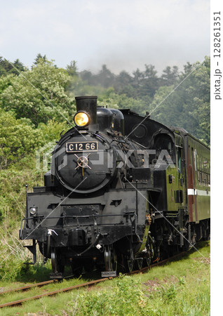 真岡鐵道SLもおかのc12-66と50系客車 128261351