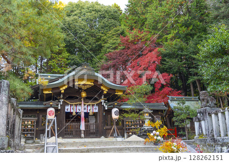 秋の京都 八大神社 御本殿 秋の京都 八大神社 御本殿 128262151