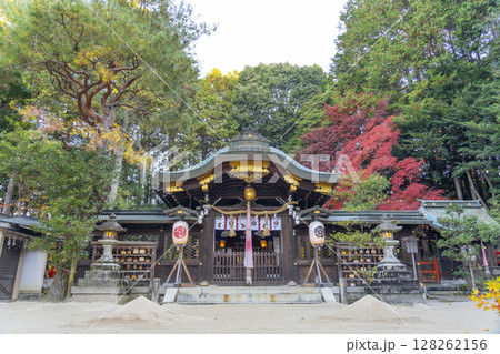 秋の京都 八大神社 御本殿 秋の京都 八大神社 御本殿 128262156