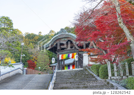 秋の京都 本願寺北山別院 紅葉に包まれた山門 秋の京都 本願寺北山別院 紅葉に包まれた山門 128262542