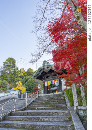 秋の京都 本願寺北山別院 紅葉に包まれた山門 秋の京都 本願寺北山別院 紅葉に包まれた山門 128262543