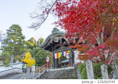 秋の京都　本願寺北山別院　紅葉に包まれた山門 128262544