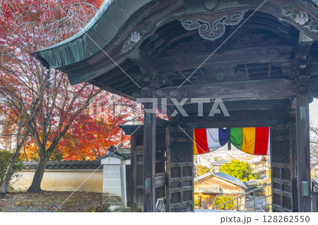 秋の京都　本願寺北山別院　紅葉に包まれた山門 128262550