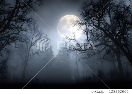 Atmospheric Halloween background with moonlight and misty trees. Ideal for posters, party flyers, or horror-themed designs. 128262603