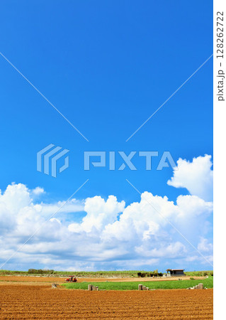 沖縄 宮古島 夏の青空と畑 沖縄 宮古島 夏の青空と畑 128262722
