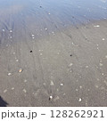 砂浜　海辺 128262921