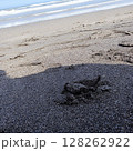 砂浜に残る足跡 128262922