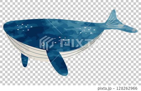 游泳的鯨魚的插圖 游泳的鯨魚的插圖 128262966