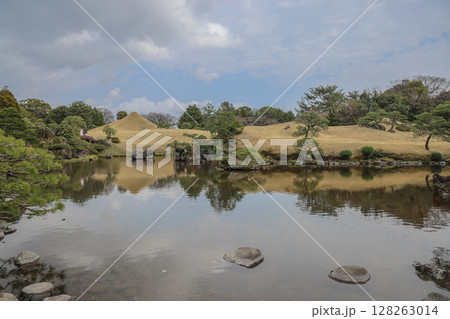 March 24 2025 Serene Japanese Garden with Water Pond and Traditional Pine, Japan March 24 2025 Serene Japanese Garden with Water Pond and Traditional Pine, Japan 128263014