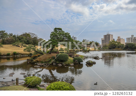 March 24 2025 Serene Japanese Garden with Water Pond and Traditional Pine, Japan 128263132