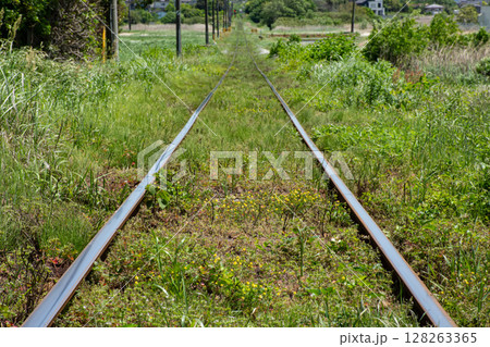 春の草花に埋もれるローカル鉄道の線路 春の草花に埋もれるローカル鉄道の線路 128263365