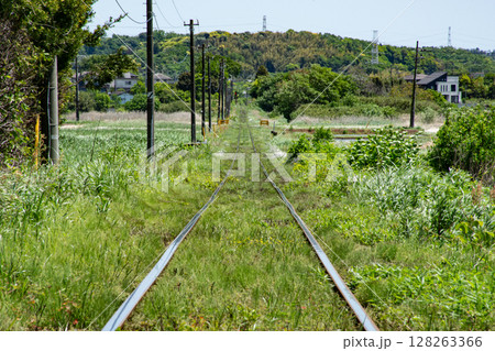 春の草花に埋もれるローカル鉄道の線路 128263366