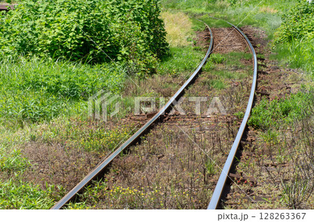 春の草花に埋もれるローカル鉄道の線路 128263367