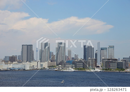 東京晴海エリアのビル群と空とスカイツリー 128263471