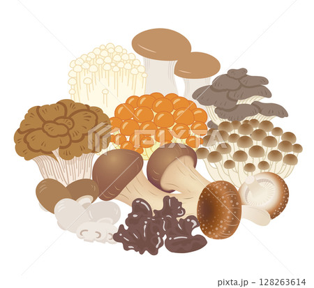 キノコの盛り合わせ キノコの盛り合わせ 128263614