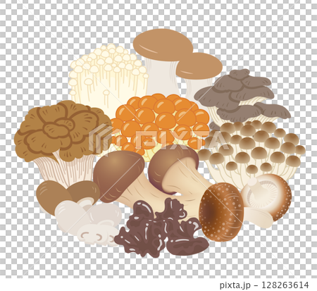 キノコの盛り合わせ キノコの盛り合わせ 128263614