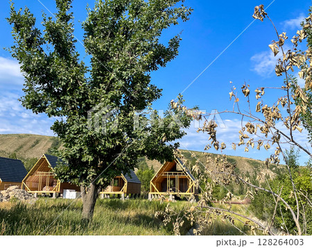 Three wooden cabins with sloped roofs sit nestled in a lush green landscape, framed by a large tree and dry branches under a clear blue sky. 128264003