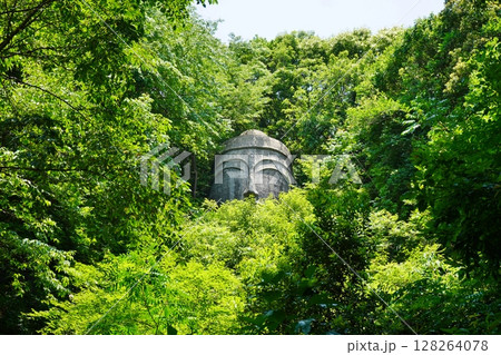 玉名　樹木に埋もれた巨大な石仏　大釈迦坐像 128264078