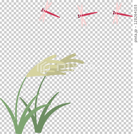 紅蜻蜓和銀草插圖集 128264103