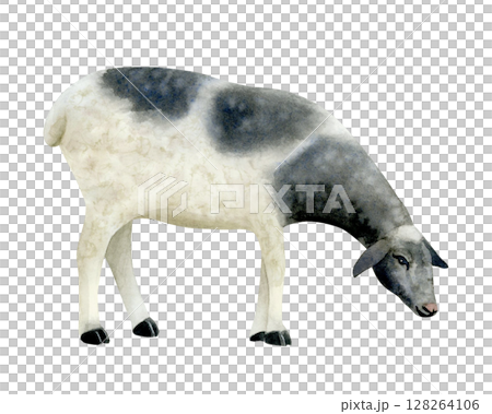 White and black sheep watercolor isolated illustration. Hand drawn grazing farm animal clip art in realistic style. Lamb sketch for village and countryside designs White and black sheep watercolor isolated illustration. Hand drawn grazing farm animal clip art in realistic style. Lamb sketch for village and countryside designs 128264106