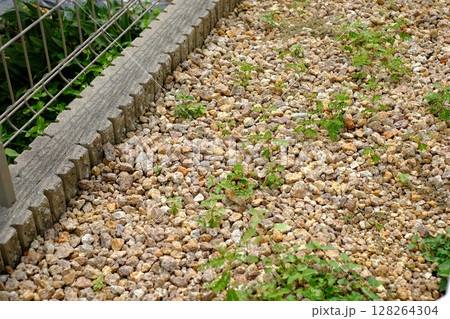 砂利と雑草と境界線ブロック 128264304