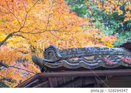 Japanese roof adorned with autumn leaves in vibrant colors. Kyoto, Japan 128264347