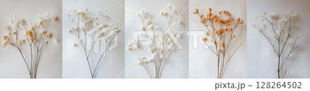 Floral compositions with delicate dried flowers and pastel tones 128264502