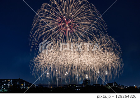 夜空に咲く黄金色の大輪 128264826