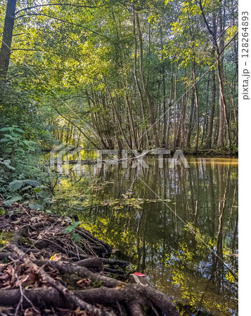 Peaceful forest river reflecting green trees in summer nature landscape. High quality photo Peaceful forest river reflecting green trees in summer nature landscape. High quality photo 128264893