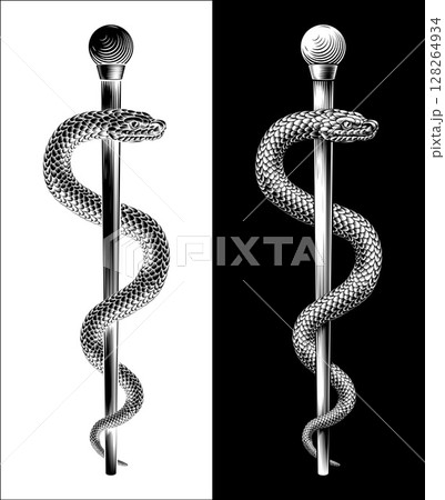 Rod of Asclepius Caduceus Medical Doctor Symbol Rod of Asclepius Caduceus Medical Doctor Symbol 128264934
