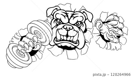 Bulldog Dog Weight Lifting Dumbbell Gym Mascot Bulldog Dog Weight Lifting Dumbbell Gym Mascot 128264966