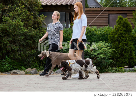 Everyday together. Women walking dogs together on paved path in lush green garden area 128265075