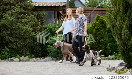 Everyday together. Two women walking dogs in lush garden setting on sunny day 128265076