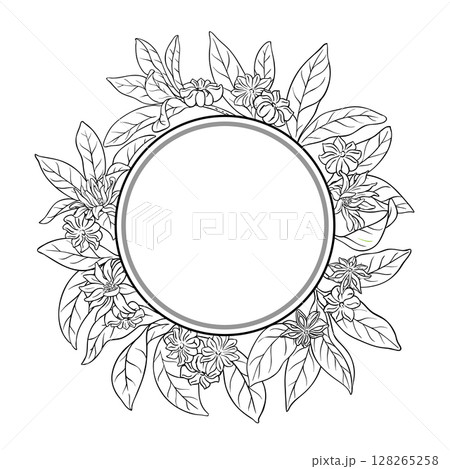 Anise Branch Outline Round Frame. 128265258
