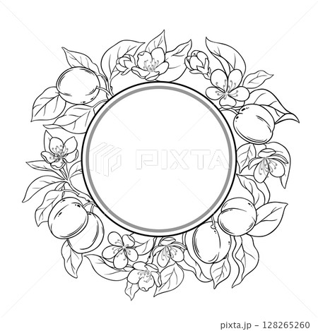 Apricot Branch Outline Round Frame. 128265260