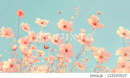 Abstract Pink Poppies in a Dreamy Pastel Setting for Elegant Banner 128265627