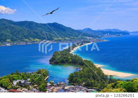 天橋立とトンビ 天橋立とトンビ 128266201