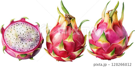 Watercolor Dragon Fruit 128266812
