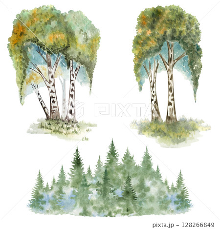 Watercolor birch trees clipart set Russian forest scenes with birch groves, woodland edges and glades, hand-painted for fairytale designs, kids books, decor, postcards, invitations and crafts Watercolor birch trees clipart set Russian forest scenes with birch groves, woodland edges and glades, hand-painted for fairytale designs, kids books, decor, postcards, invitations and crafts 128266849