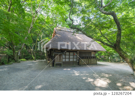 美しい青もみじに包まれた水谷茶屋（奈良公園内） 128267204