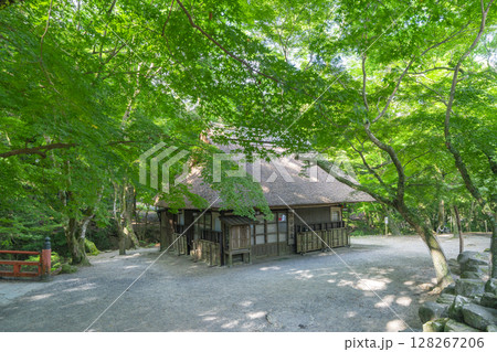 美しい青もみじに包まれた水谷茶屋（奈良公園内） 128267206