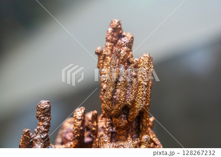 銅が溶けて塊になっている状態 銅が溶けて塊になっている状態 128267232