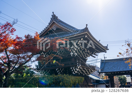 京都　妙蓮寺　紅葉に包まれた鐘楼　(京都市上京区妙蓮寺前町) 128267686