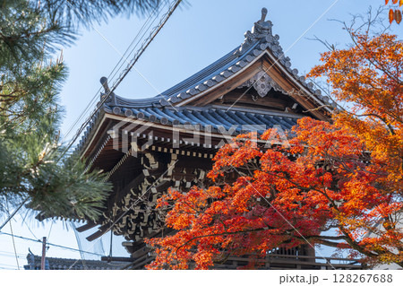 京都　妙蓮寺　紅葉に包まれた鐘楼　(京都市上京区妙蓮寺前町) 128267688