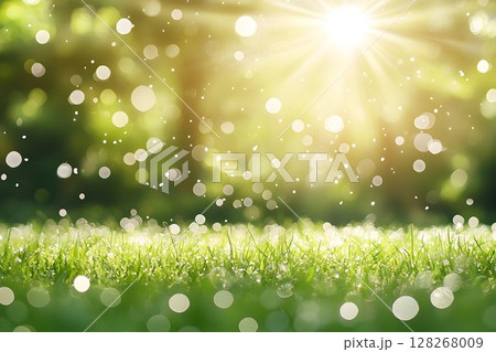 Radiant Sunlight Filtering Through Sparkling Dew Drops on Grass Radiant Sunlight Filtering Through Sparkling Dew Drops on Grass 128268009