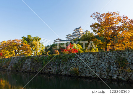 秋の兵庫県姫路市 世界遺産 国宝姫路城と紅葉 秋の兵庫県姫路市 世界遺産 国宝姫路城と紅葉 128268569