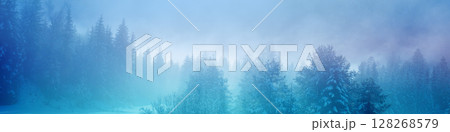 Snow-covered spruce trees on the mountainside during sunrise in winter. Winter rural landscape Horizontal banner Snow-covered spruce trees on the mountainside during sunrise in winter. Winter rural landscape Horizontal banner 128268579