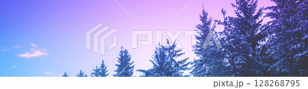 Snow-covered spruce trees on the mountainside during sunrise in winter. Horizontal banner Snow-covered spruce trees on the mountainside during sunrise in winter. Horizontal banner 128268795